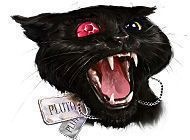 Game "Dark tales. Edgar Allan Poe's. The Black Cat"