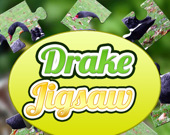 Drake Jigsaw