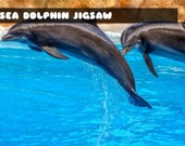 Морской дельфин - Пазл