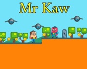 Mr Kaw