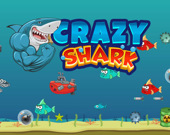 Crazy Shark