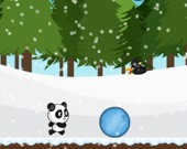 Забег панды