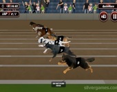 Симулятор гонок на собаках 3D