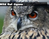 Wild owl Jigsaw