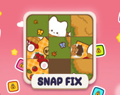 Snap Fix