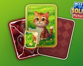 Puzzle Solitaire Picture Match