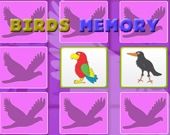 Kids Memory with Birds