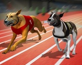 Симулятор собачьей гонки