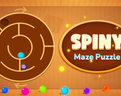 Spiny maze puzzle