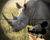 Охота на диких носорогов