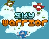 Sky Warrior