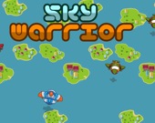 Sky Warrior
