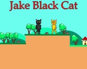 Jake Black Cat