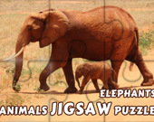 Animals Jigsaw Puzzle Elephants