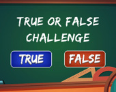 True or False Challenge
