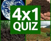 4x1 Picture Quiz