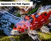 Японская рыбка - Пазл