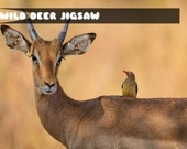 Wild Deer Jigsaw