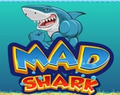 MAD Shark 2021