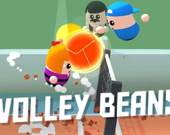 Volley Beans - Volleyball Game