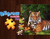 Jigsaw Master Pro