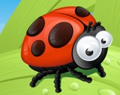 Ladybug Slide