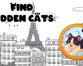 Find Hidden Cats