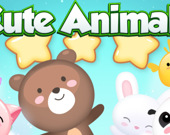 Cute Animals