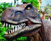 Пазл Тираннозавр Рекс