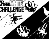 Black & White Ski Challenge