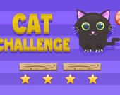 Cat Challenge