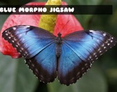 Синяя бабочка Морфо - Пазл