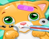 Little Cat Doctor Pet Vet Games