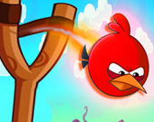 Разгневанные утки