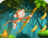 Веревки для обезьянки