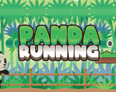 Panda Running