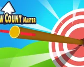 Arrow Count Master
