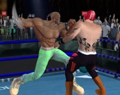 Настоящий боксерский бой