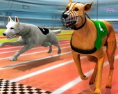 Собачьи гонки 3D
