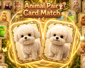Animal Pair Card Match