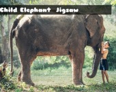 Слоненок - пазл
