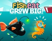 Fish Eat Grow Big