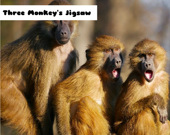 Три обезьяны - Пазл