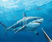 Hunting underwater spearfishing