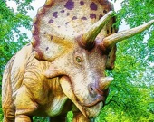 Giant Triceratops Puzzle