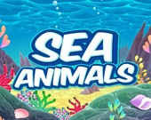 Морские животные HD