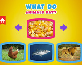 Что едят животные?
