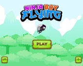 Летающий мальчик-ниндзя