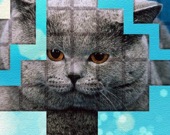 Пикпу: кошачья головоломка