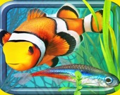 Fish Farm - Aquarium Simulator